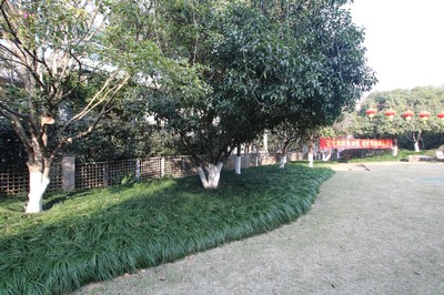 蘭桂花園