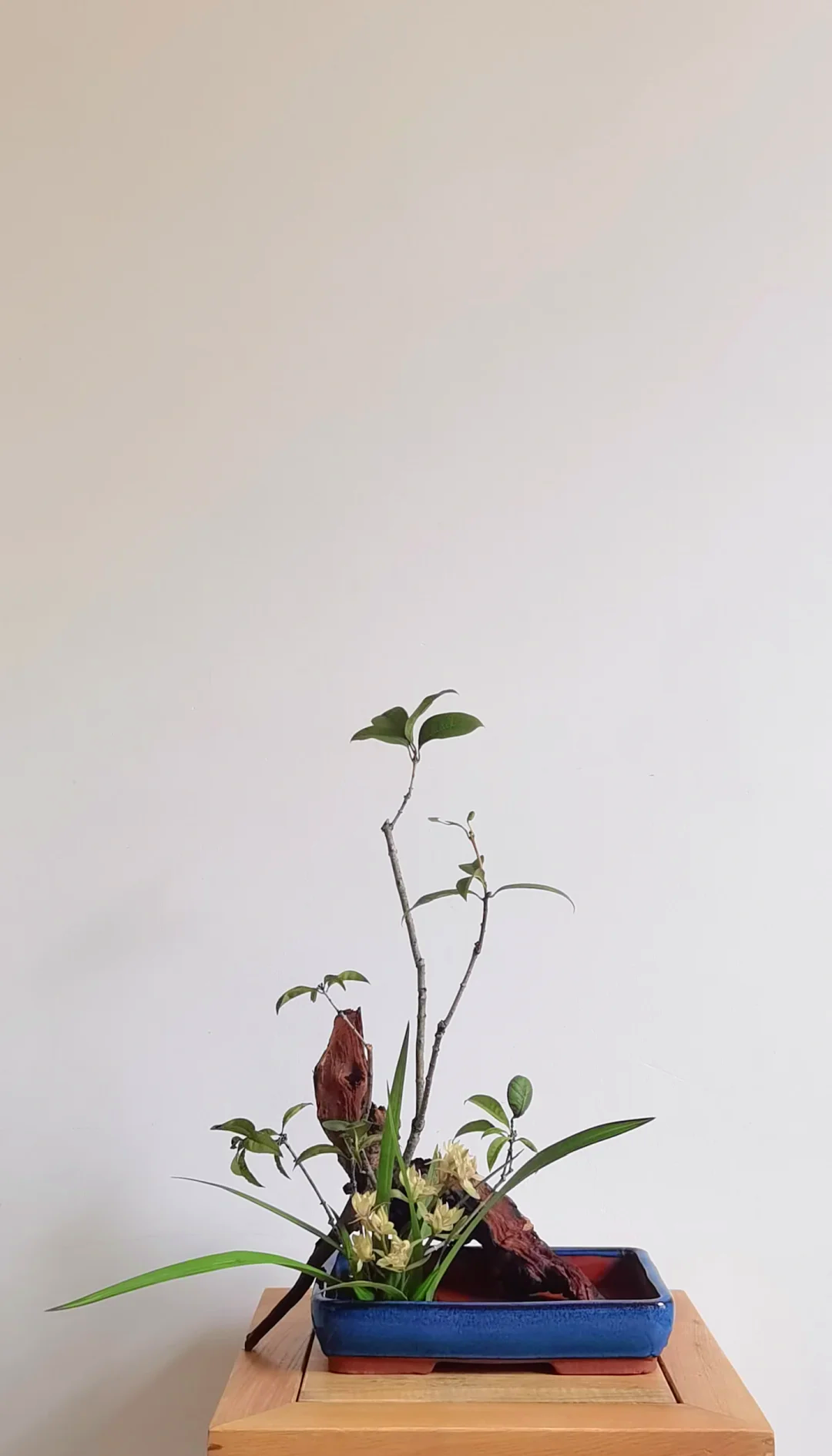 蘭桂齊芳 中式插花的優(yōu)雅寓意