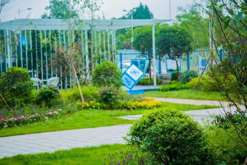 醉美工地，不得不服沐風蘭桂