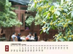 杭州版美景日歷 把美景裝進你的每一天——沐風蘭桂