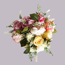 沐蘭仿真植物藤條與沐風蘭桂系列產品報價及特點分析